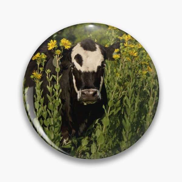 Item preview, Patches and Sunflowers designed and sold by South 500 Photography.