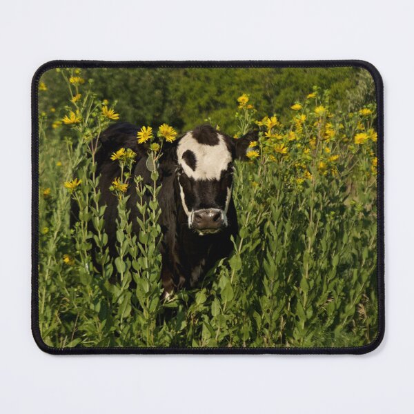 Item preview, Patches and Sunflowers designed and sold by South 500 Photography.