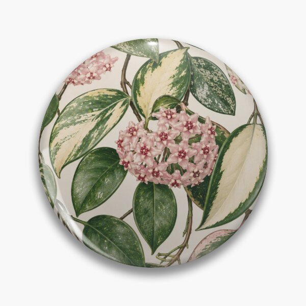 Item preview, Variegated Hoya Botanical Floral Pattern designed and sold by Mikena1996.