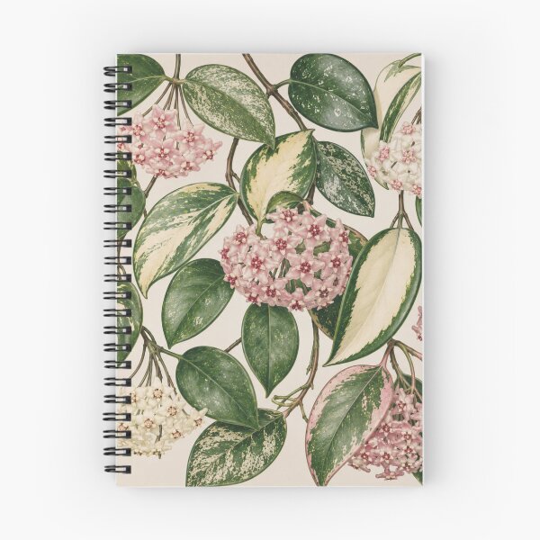 Item preview, Variegated Hoya Botanical Floral Pattern designed and sold by Mikena1996.
