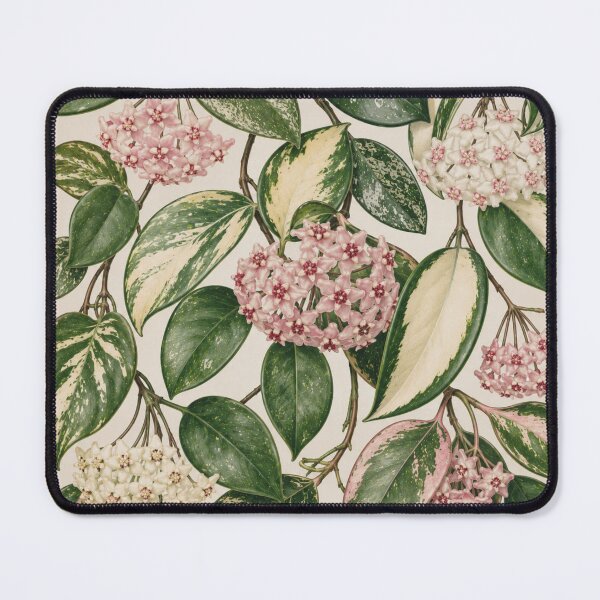 Item preview, Variegated Hoya Botanical Floral Pattern designed and sold by Mikena1996.