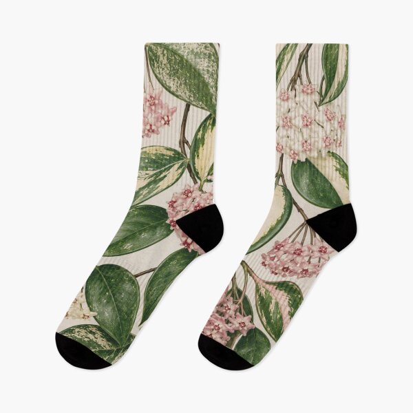 Item preview, Variegated Hoya Botanical Floral Pattern designed and sold by Mikena1996.