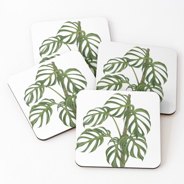 Item preview, Monstera Burle Marx Botanical Illustration  designed and sold by Mikena1996.