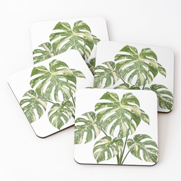 Item preview, Monstera Thai Constellation Botanical Print designed and sold by Mikena1996.