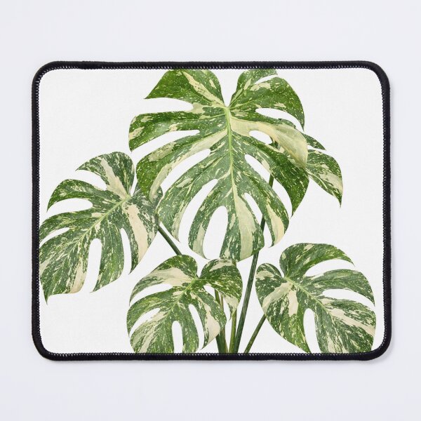Item preview, Monstera Thai Constellation Botanical Print designed and sold by Mikena1996.