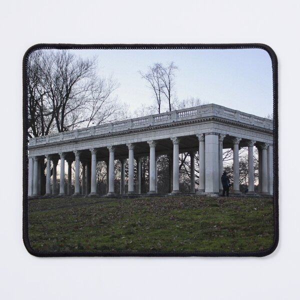 Item preview, pic I took in prospect park designed and sold by mizz67Ladder.