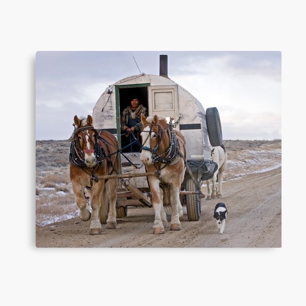 Sheep Wagon, Red Desert, Wy Metal Print