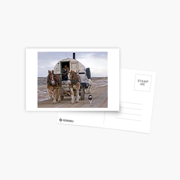 Sheep Wagon, Red Desert, Wy Postcard