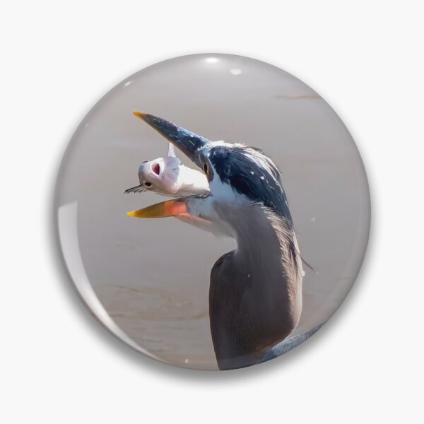 Item preview, Blue Heron Playing Catch with its Fish Dinner designed and sold by South 500 Photography.