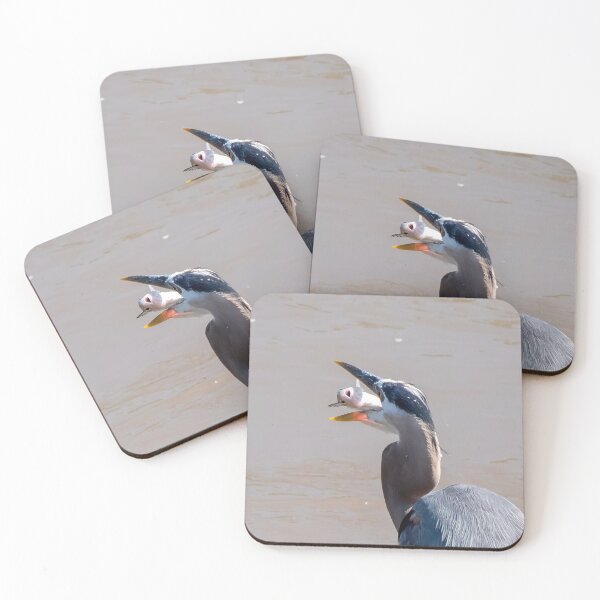 Item preview, Blue Heron Playing Catch with its Fish Dinner designed and sold by South 500 Photography.