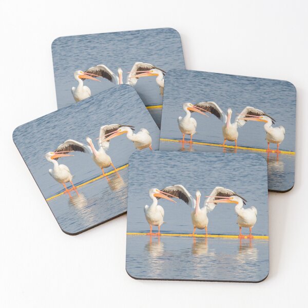 Item preview, Pelican Caught in the Middle designed and sold by South 500 Photography.
