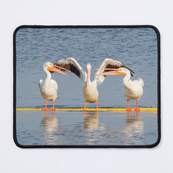 Item preview, Pelican Caught in the Middle designed and sold by South 500 Photography.