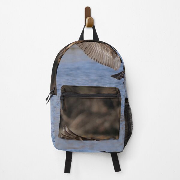 Item preview, Cormorant coming in Hot. designed and sold by South 500 Photography.