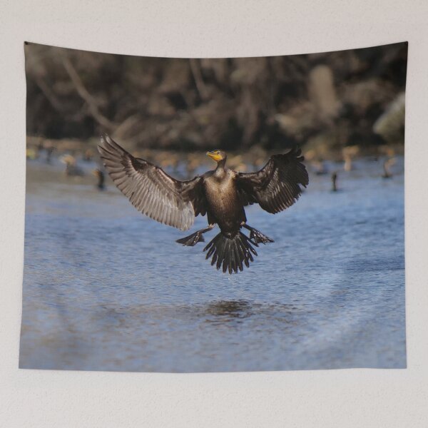 Item preview, Cormorant coming in Hot.  designed and sold by South 500 Photography.