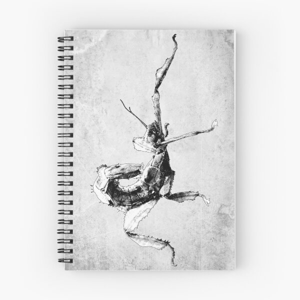 Item preview, Australian Spiny Leaf Insect in Defense Pose designed and sold by Ghoul Enterprises.