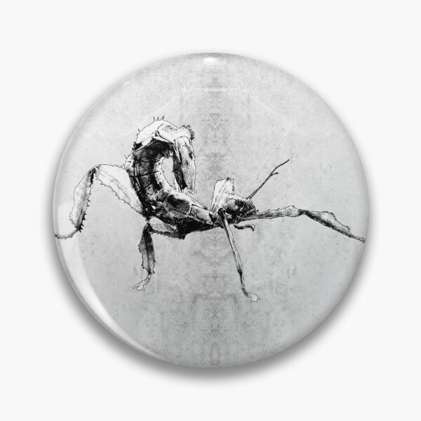 Item preview, Australian Spiny Leaf Insect in Defense Pose designed and sold by Ghoul Enterprises.