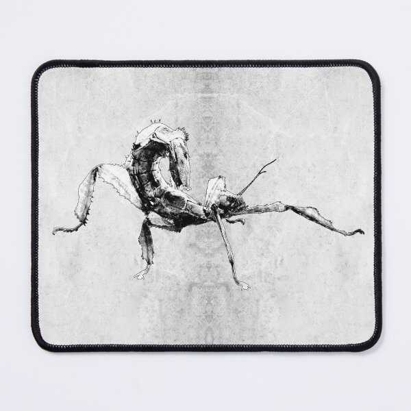 Item preview, Australian Spiny Leaf Insect in Defense Pose designed and sold by Ghoul Enterprises.
