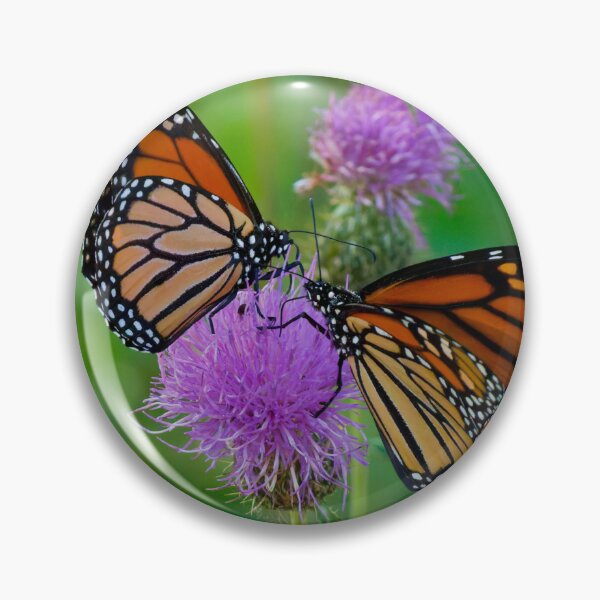 Item preview, Two Monarch Butterflies share the same Purple Thistle. designed and sold by South 500 Photography.