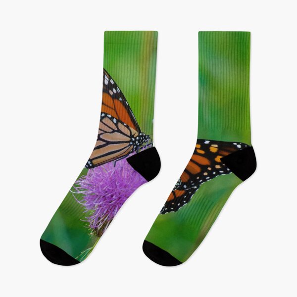 Item preview, Two Monarch Butterflies share the same Purple Thistle. designed and sold by South 500 Photography.