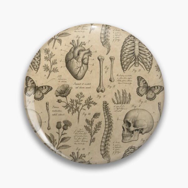 Item preview, Dark Academia Anatomical Engraving Vintage Study Repeat designed and sold by StickyGuys.