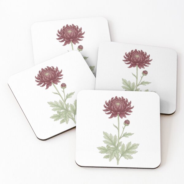 Item preview, November birth flower Burgundy Chrysanthemum Print Wall Art | Vintage Botanical Flower Print | Floral | Cottagecore Home Decor designed and sold by Zaitmiprints.