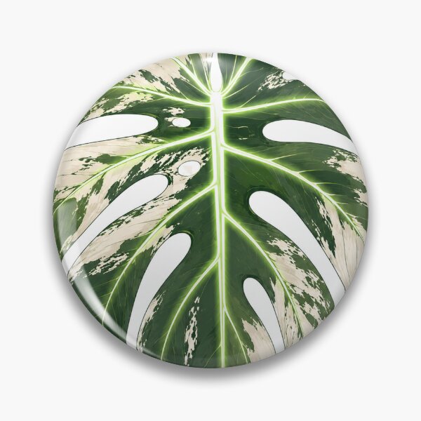 Item preview, Monstera Albo Variegata Leaf Botanical Plant Lover designed and sold by BartArtPhoto.