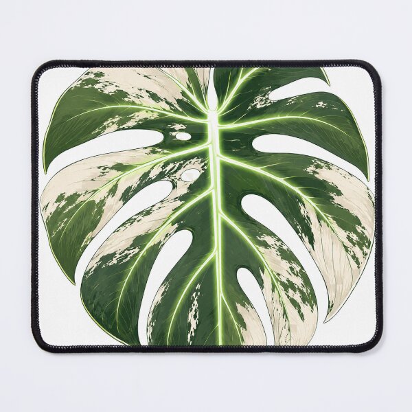 Item preview, Monstera Albo Variegata Leaf Botanical Plant Lover designed and sold by BartArtPhoto.