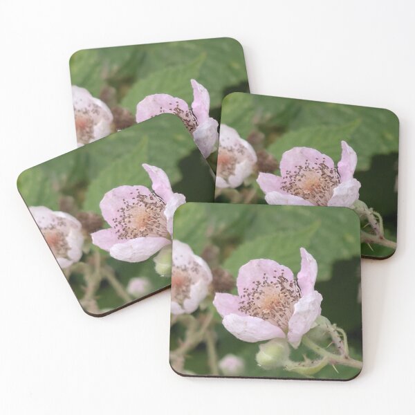Item preview, Opening up of the Hawthorne  designed and sold by LifeLookingCloser.