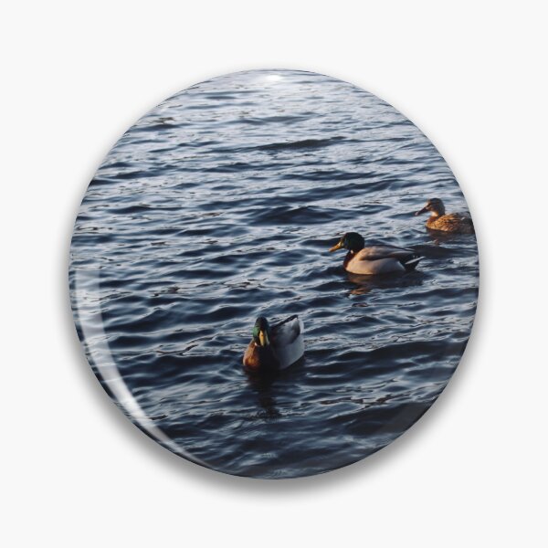 Item preview, some ducks at prospect park designed and sold by mizz67Ladder.