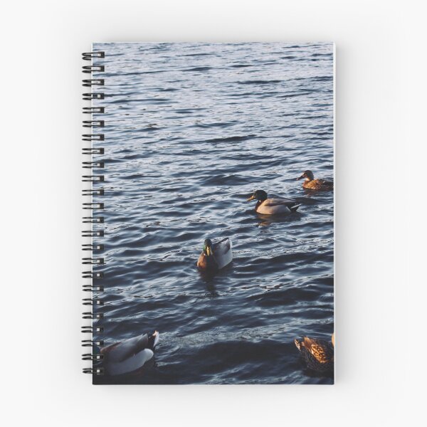 Item preview, some ducks at prospect park designed and sold by mizz67Ladder.