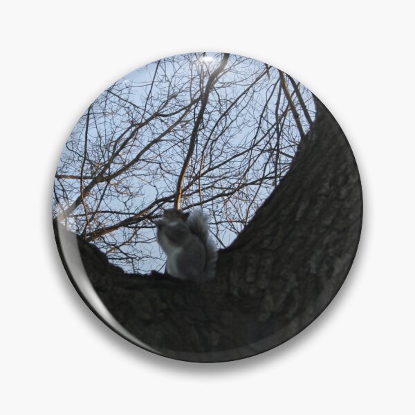 Item preview, Squirrel dude in the trees designed and sold by mizz67Ladder.