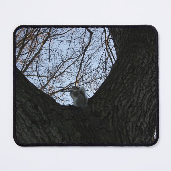 Item preview, Squirrel dude in the trees designed and sold by mizz67Ladder.