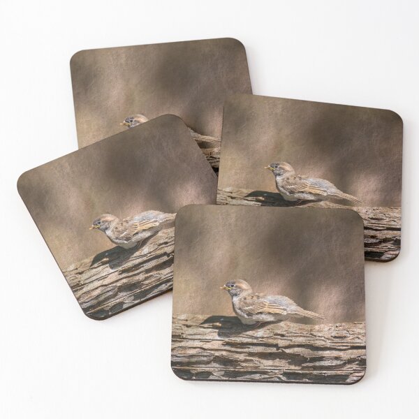 Item preview, Juvenile House Sparrow designed and sold by CarolM.