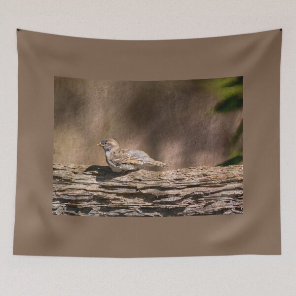 Item preview, Juvenile House Sparrow designed and sold by CarolM.