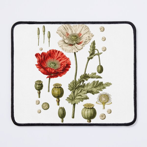 Item preview, Red Poppy Botanical Papaver somniferum Red Poppy Plant designed and sold by Evanka.