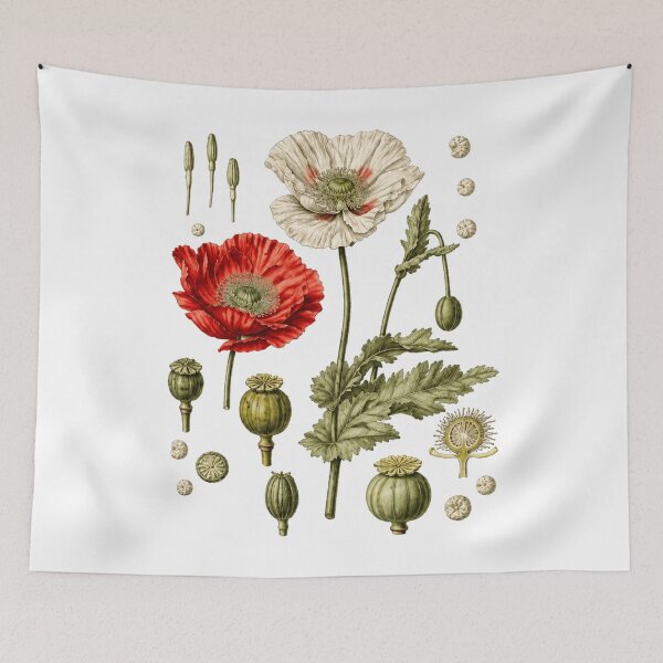 Item preview, Red Poppy Botanical Papaver somniferum Red Poppy Plant designed and sold by Evanka.