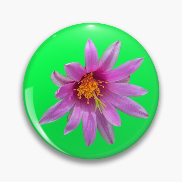 Item preview, Purple and white pinchushion cactus flower designed and sold by Creative Endeavors ..