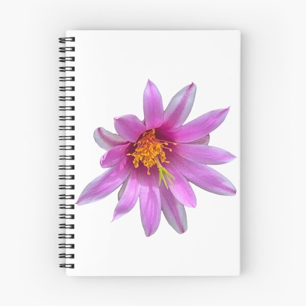 Item preview, Purple and white pinchushion cactus flower designed and sold by Creative Endeavors ..