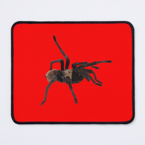 Item preview, Tarantula with red abdominal urticarial hairs designed and sold by Creative Endeavors ..