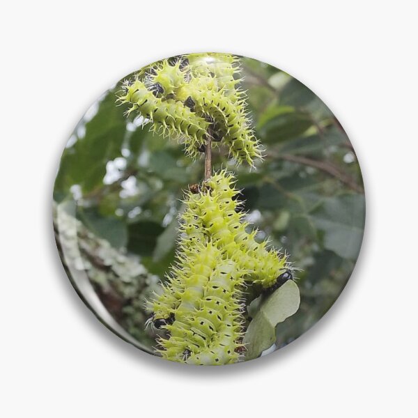 Item preview, Swarm of Caterpillars  designed and sold by MusondaNancy.
