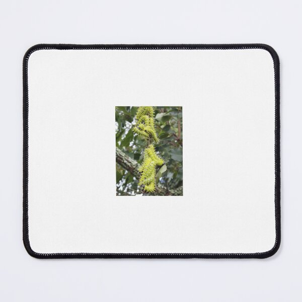Item preview, Swarm of Caterpillars  designed and sold by MusondaNancy.