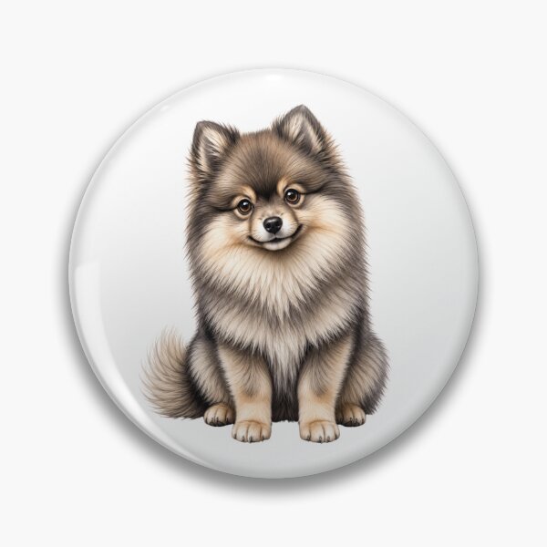 Item preview, Wolf Sable Teddy Bear Pomeranian Puppy designed and sold by SabraDD.
