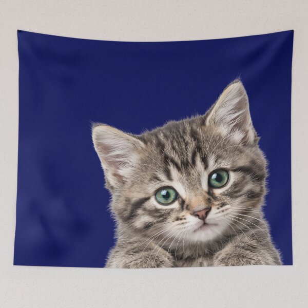 Item preview, Cute Kitten Green Eyes Fluffy Tabby Cat designed and sold by Innova_Creations.