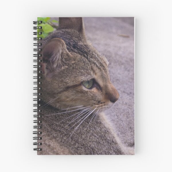 Item preview, Cat from Intramuros designed and sold by ROSE ANN BANILAR.