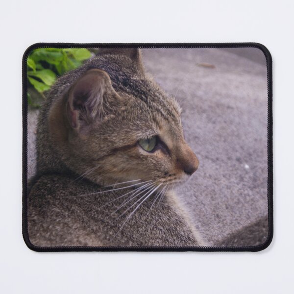 Item preview, Cat from Intramuros designed and sold by ROSE ANN BANILAR.