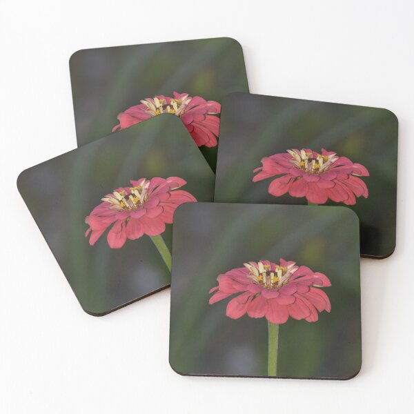 Item preview, Pink Zinnia Flower on Dark Bokeh Background Photography designed and sold by TathataPhotos.