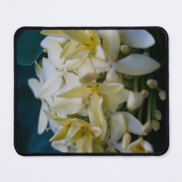 Item preview, Yellow Santan Flowers designed and sold by ROSE ANN BANILAR.