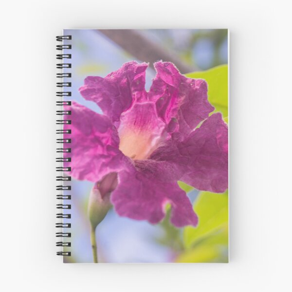 Item preview, Pink Trumpet Tree blossom designed and sold by ROSE ANN BANILAR.
