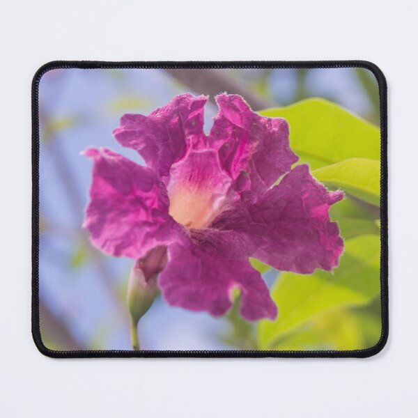 Item preview, Pink Trumpet Tree blossom designed and sold by ROSE ANN BANILAR.