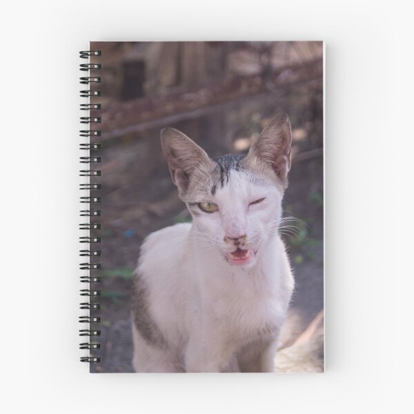 Item preview, One Eyed Winking Cat designed and sold by ROSE ANN BANILAR.